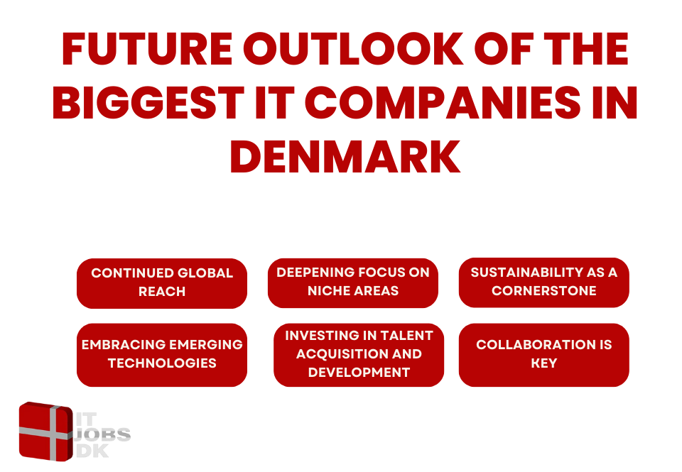 Future Outlook of the Biggest IT Companies in Denmark
